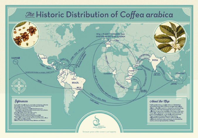 Kart som viser spredningen av Coffea Arabica 